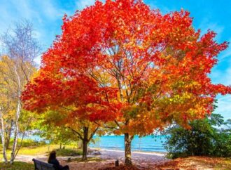 From the Publisher November 2024